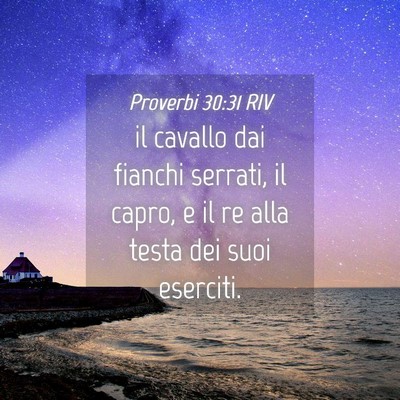 Picture 04 - Proverbi 30:31 RIV - il cavallo dai fianchi serrati, il capro, e il re - Bible Verse Picture