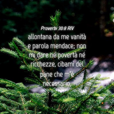 Picture 04 - Proverbi 30:8 RIV - allontana da me vanità e parola mendace; non mi - Bible Verse Picture