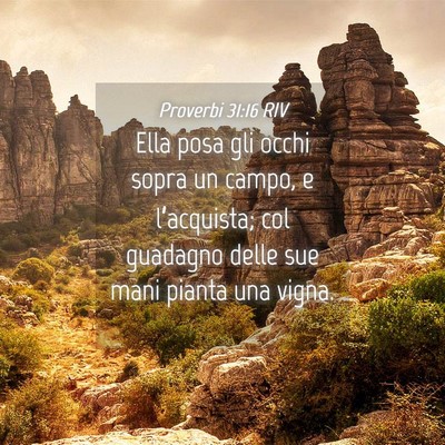 Picture 04 - Proverbi 31:16 RIV - Ella posa gli occhi sopra un campo, e - Bible Verse Picture