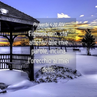 Picture 04 - Proverbi 4:20 RIV - Figliuol mio, sta’ attento alle mie parole, - Bible Verse Picture