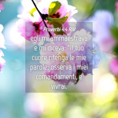 Picture 04 - Proverbi 4:4 RIV - egli mi ammaestrava e mi diceva: “Il tuo cuore - Bible Verse Picture