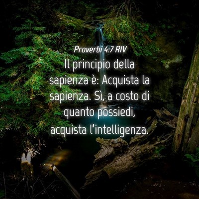 Picture 04 - Proverbi 4:7 RIV - Il principio della sapienza è: Acquista la - Bible Verse Picture