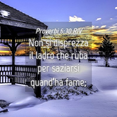 Picture 04 - Proverbi 6:30 RIV - Non si disprezza il ladro che ruba per saziarsi - Bible Verse Picture