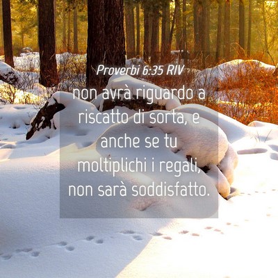 Picture 04 - Proverbi 6:35 RIV - non avrà riguardo a riscatto di sorta, e anche - Bible Verse Picture