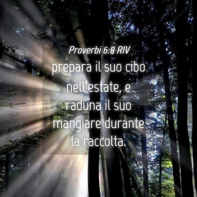 Picture 04 - Proverbi 6:8 RIV - prepara il suo cibo nell’estate, e raduna il - Bible Verse Picture