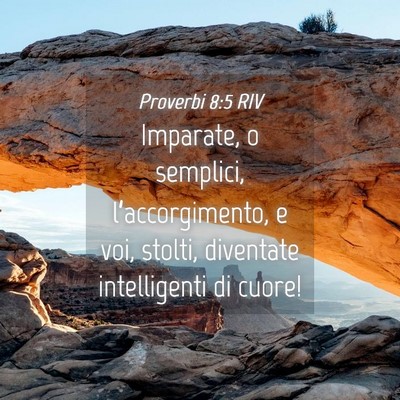 Picture 04 - Proverbi 8:5 RIV - Imparate, o semplici, l’accorgimento, e voi, - Bible Verse Picture