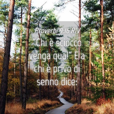 Picture 04 - Proverbi 9:16 RIV - “Chi è sciocco venga qua!” E a chi è privo - Bible Verse Picture