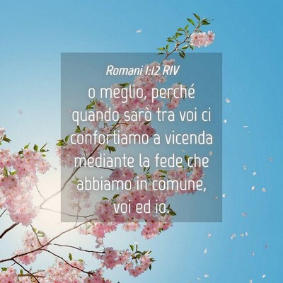 Picture 04 - Romani 1:12 RIV - o meglio, perché quando sarò tra voi ci - Bible Verse Picture