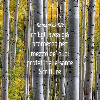 Picture 04 - Romani 1:2 RIV - ch’Egli avea già promesso per mezzo de’ suoi - Bible Verse Picture