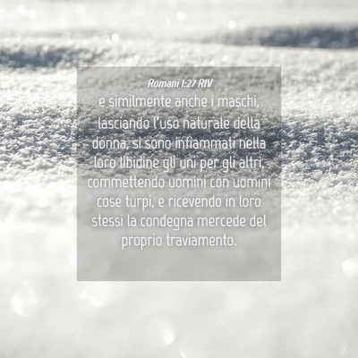 Picture 04 - Romani 1:27 RIV - e similmente anche i maschi, lasciando l’uso - Bible Verse Picture