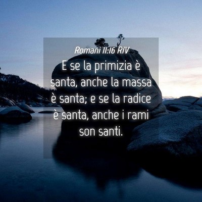 Picture 04 - Romani 11:16 RIV - E se la primizia è santa, anche la massa è - Bible Verse Picture