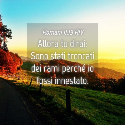 Picture 04 - Romani 11:19 RIV - Allora tu dirai: Sono stati troncati dei rami - Bible Verse Picture