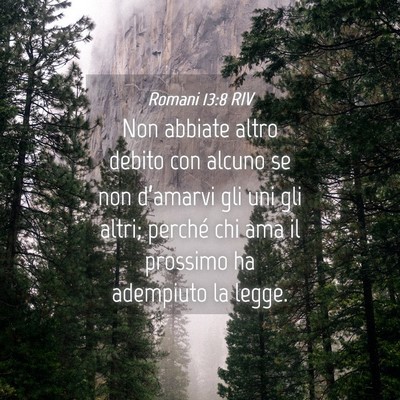 Picture 04 - Romani 13:8 RIV - Non abbiate altro debito con alcuno se non - Bible Verse Picture
