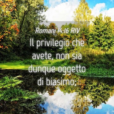 Picture 04 - Romani 14:16 RIV - Il privilegio che avete, non sia dunque oggetto - Bible Verse Picture