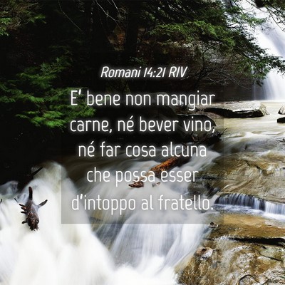 Picture 04 - Romani 14:21 RIV - E’ bene non mangiar carne, né bever vino, né - Bible Verse Picture
