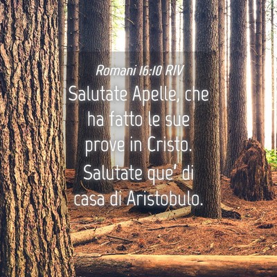 Picture 04 - Romani 16:10 RIV - Salutate Apelle, che ha fatto le sue prove in - Bible Verse Picture