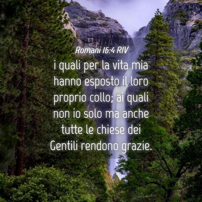 Picture 04 - Romani 16:4 RIV - i quali per la vita mia hanno esposto il loro - Bible Verse Picture