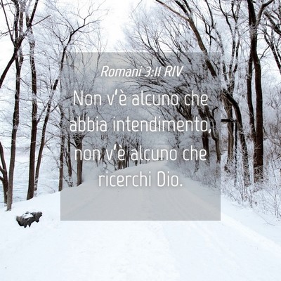 Picture 04 - Romani 3:11 RIV - Non v’è alcuno che abbia intendimento, non - Bible Verse Picture