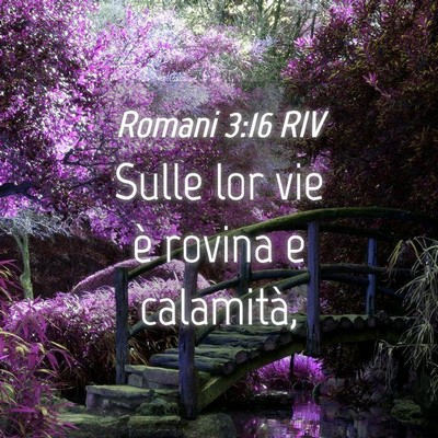 Picture 04 - Romani 3:16 RIV - Sulle lor vie è rovina e - Bible Verse Picture