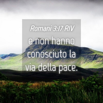 Picture 04 - Romani 3:17 RIV - e non hanno conosciuto la via della - Bible Verse Picture