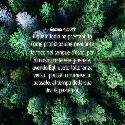 Picture 04 - Romani 3:25 RIV - il quale Iddio ha prestabilito come propiziazione - Bible Verse Picture