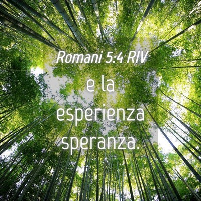 Picture 04 - Romani 5:4 RIV - e la esperienza - Bible Verse Picture
