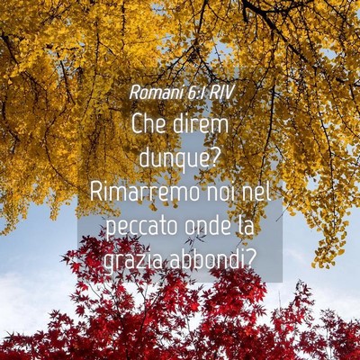 Picture 04 - Romani 6:1 RIV - Che direm dunque? Rimarremo noi nel peccato onde - Bible Verse Picture
