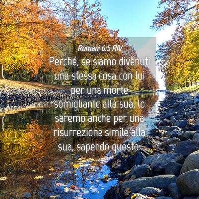 Picture 04 - Romani 6:5 RIV - Perché, se siamo divenuti una stessa cosa con - Bible Verse Picture