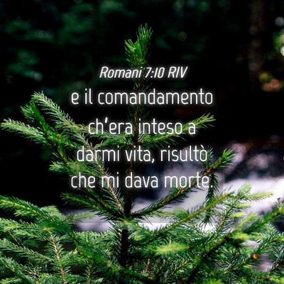 Picture 04 - Romani 7:10 RIV - e il comandamento ch’era inteso a darmi vita, - Bible Verse Picture