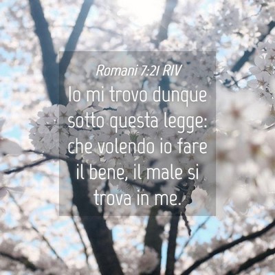 Picture 04 - Romani 7:21 RIV - Io mi trovo dunque sotto questa legge: che - Bible Verse Picture