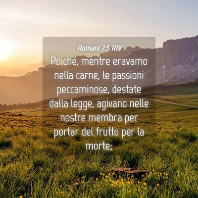 Picture 04 - Romani 7:5 RIV - Poiché, mentre eravamo nella carne, le passioni - Bible Verse Picture