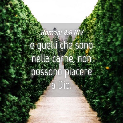 Picture 04 - Romani 8:8 RIV - e quelli che sono nella carne, non possono - Bible Verse Picture