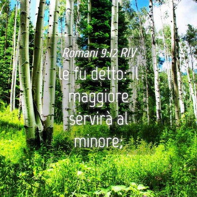 Picture 04 - Romani 9:12 RIV - le fu detto: Il maggiore servirà al - Bible Verse Picture