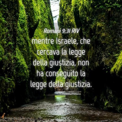 Picture 04 - Romani 9:31 RIV - mentre Israele, che cercava la legge della - Bible Verse Picture