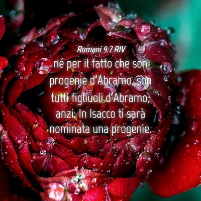Picture 04 - Romani 9:7 RIV - né per il fatto che son progenie d’Abramo, son - Bible Verse Picture