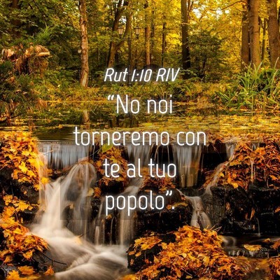 Picture 04 - Rut 1:10 RIV - “No noi torneremo con te al tuo - Bible Verse Picture