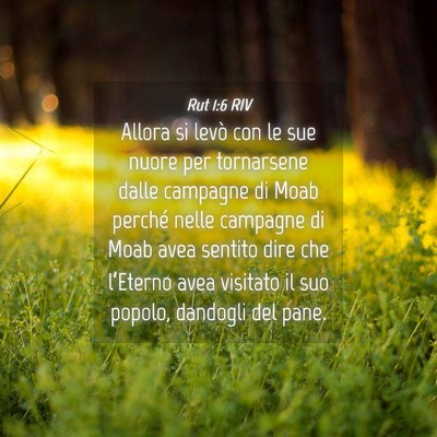 Picture 04 - Rut 1:6 RIV - Allora si levò con le sue nuore per tornarsene - Bible Verse Picture