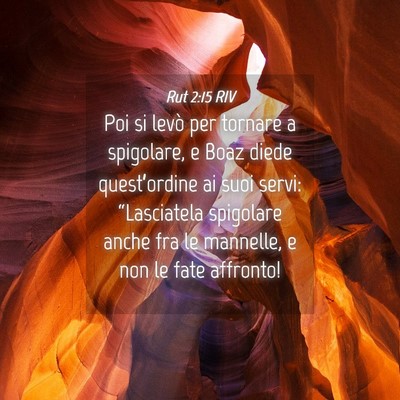 Picture 04 - Rut 2:15 RIV - Poi si levò per tornare a spigolare, e Boaz - Bible Verse Picture