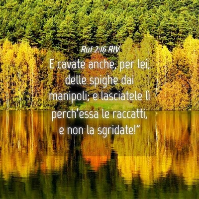 Picture 04 - Rut 2:16 RIV - E cavate anche, per lei, delle spighe dai - Bible Verse Picture