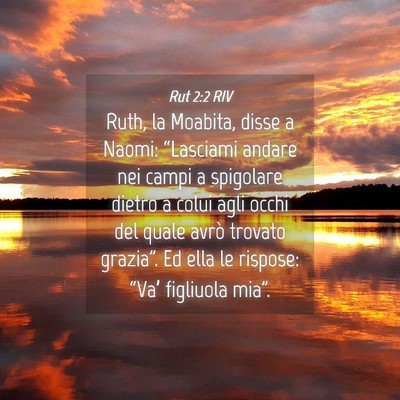 Picture 04 - Rut 2:2 RIV - Ruth, la Moabita, disse a Naomi: “Lasciami - Bible Verse Picture