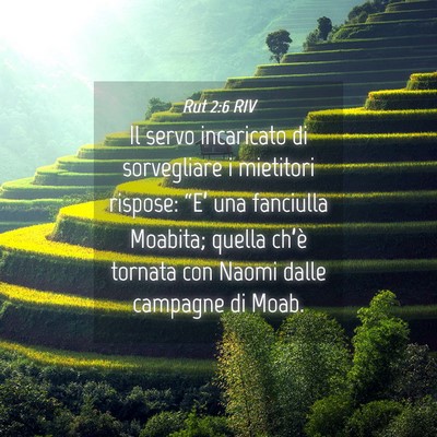 Picture 04 - Rut 2:6 RIV - Il servo incaricato di sorvegliare i mietitori - Bible Verse Picture