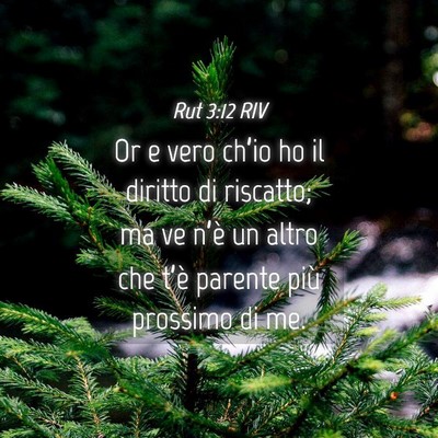 Picture 04 - Rut 3:12 RIV - Or e vero ch’io ho il diritto di riscatto; ma - Bible Verse Picture