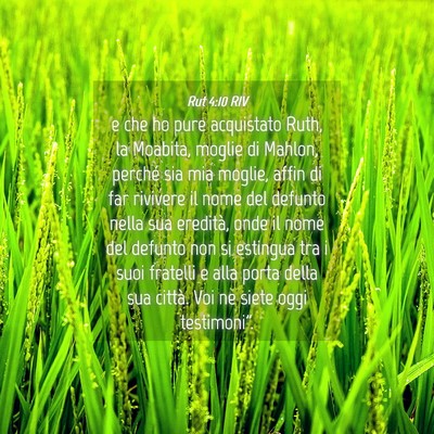 Picture 04 - Rut 4:10 RIV - e che ho pure acquistato Ruth, la Moabita, moglie - Bible Verse Picture