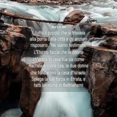 Picture 04 - Rut 4:11 RIV - E tutto il popolo che si trovava alla porta della - Bible Verse Picture