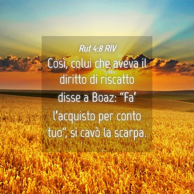 Picture 04 - Rut 4:8 RIV - Così, colui che aveva il diritto di riscatto - Bible Verse Picture