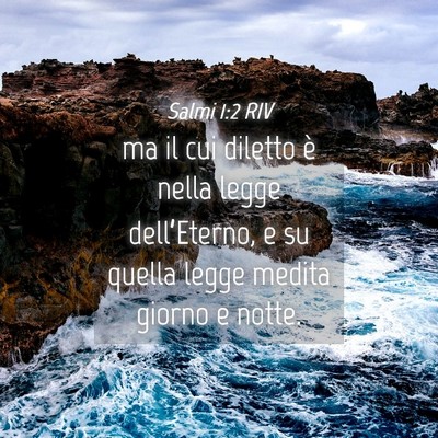 Picture 04 - Salmi 1:2 RIV - ma il cui diletto è nella legge dell’Eterno, e - Bible Verse Picture
