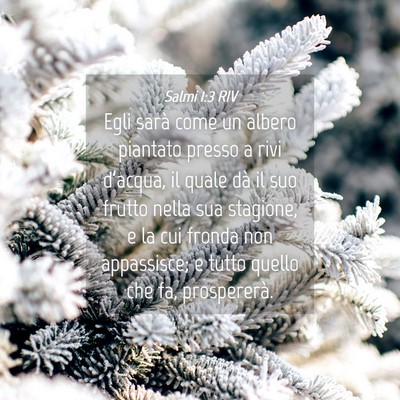 Picture 04 - Salmi 1:3 RIV - Egli sarà come un albero piantato presso a rivi - Bible Verse Picture