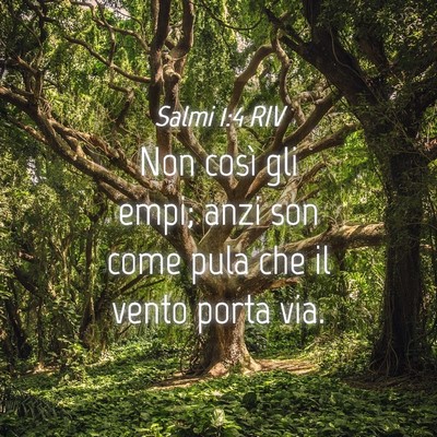 Picture 04 - Salmi 1:4 RIV - Non così gli empi; anzi son come pula che il - Bible Verse Picture