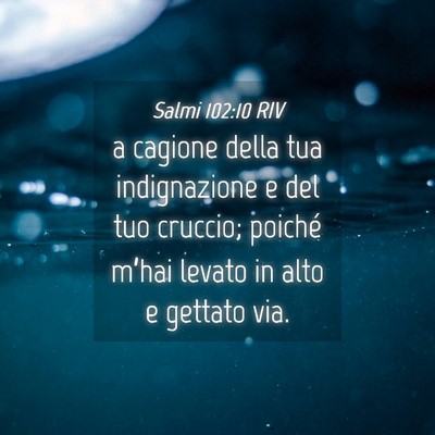 Picture 04 - Salmi 102:10 RIV - a cagione della tua indignazione e del tuo - Bible Verse Picture