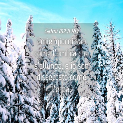 Picture 04 - Salmi 102:11 RIV - I miei giorni son come l’ombra che s’allunga, - Bible Verse Picture